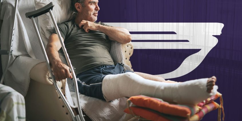 Fly-With-Broken-Bone